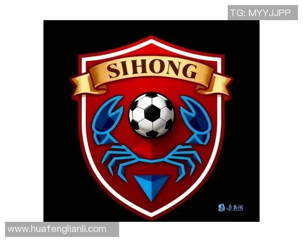 探秘足球球队队徽背后的故事与文化象征解析